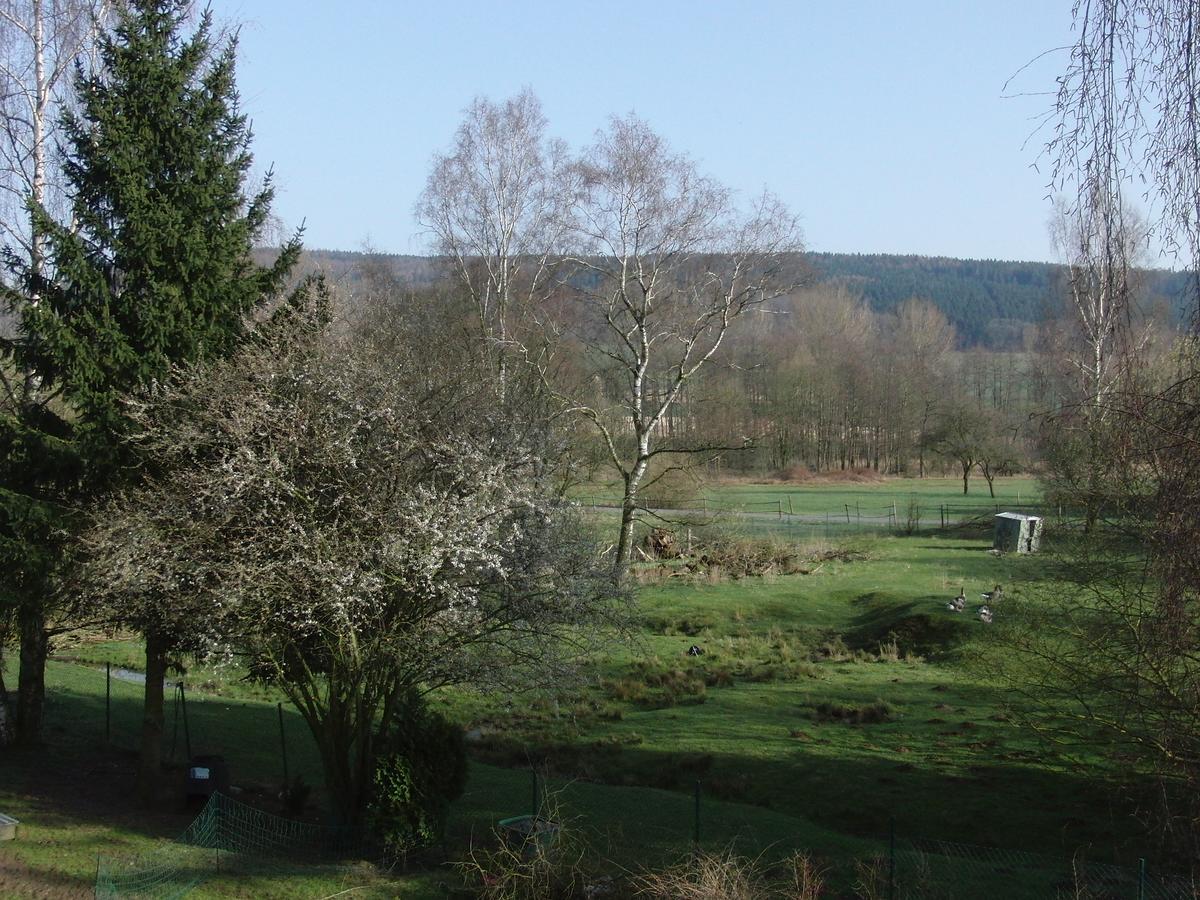 Guesthouse Herriot Springe Exteriér fotografie